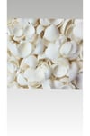 Deniz kabuğu 500 gram (110-125 adet arası)(3-4,5 cm)