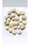 Deniz kabuğu doğal 3-4,5 cm)(500 gram)