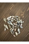 Deniz kabuğu (minaresi)(250 gram)