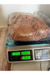 Himalaya dolphine baby kadife ip (kahverengi )(436 gram)