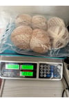 Himalaya ebruli burgu ip(462 gram)
