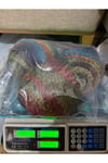 Himalaya ebruli yüksek kalite ip (570 gram)