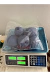 Himalaya koton ip(antrasit )(360 gram)