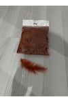 Kuş Tüyü(kiremit Renk ,100 Adet)