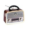 Everton rt-659 led özelikli fm/bt/sw nostajık radyo bluethotlu müzik çalar