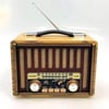 Raiseng R-1949 BT Müzik Kutusu Bluetooth Hoparlör Speaker