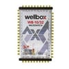 Wellbox Multıswıtch WB-10/32 Uydu Santrali