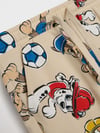 Paw-Patrol Takım
