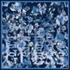 guess-brush-light-blue-esarp-e-aac9.jpeg