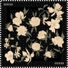 guess-romantik-black-esarp--88fd-.jpeg