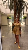 İşlemeli Kısa Kollu Poplin Elbise
