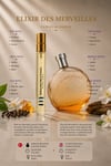 Elixir Des Merveilles