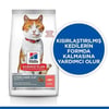 Hill's Somonlu Kısırlaştırılmış Kuru Kedi Maması 10 kg