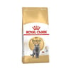 Royal Canin British Shorthair Adult Yetişkin Kedi Maması 4 kg