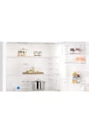 Bd3086wevn E Enerji Sınıfı 631 Lt Nofrost Alttan Donduruculu Buzdolabı