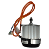MOTOLUX FAYTON FX-55 MOTOR