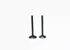 MOTOLUX ROSSİ 50 SİBOP TAKIMI