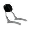 REGAL RAPTOR DAYTONA 250 SİSY BAR SIRT YASLAMA DEMİRİ KOMPLE