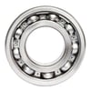 REGAL RAPTOR DAYTONA 250 V BİLYA 6205