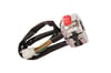 REGAL RAPTOR DAYTONA 250 V KUMANDA PANELİ SOL KOMPLE