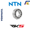rks-blazer-250-motor-ici-rulmani-tmb20-5ce3b4.png