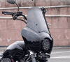Benda Rock 250 Fairing