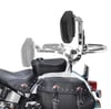 Harley Davidson Dyna Sissy Bar