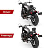 Harley Davidson Fat Boy Sissy Bar