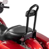 Harley Davidson Sissy Bar