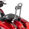 Harley Davidson Sissy Bar