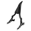 Harley Davidson Sportster Sissy Bar