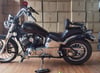 Regal Raptor Daytona 250 Sissy Bar