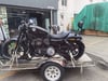 Togo 800 S Sissy Bar