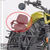 Zontes 200 C Sissy Bar