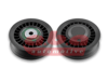 ALTERNATÖR GERGİ RULMANI CRAFTER 2.5 TDI 2006 > BJM-BJK KANALLI 76mm