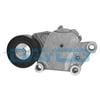 ALTERNATÖR GERGİ RULMANI KÜTÜKLÜ P206 04>13 P207 07>15 P208 12>19 P301 12> P307 01-09 P308 07>21 P 407 04>10 P508 12>18 P3008 09>16 P5008 09>17 PARTNER-BERLINGO-EXPERT-RIFTER-BERLINGO-JUMPY 08> C2-C3