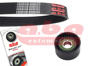 ALTERNATÖR GERGİ RULMANI MASTER II 06>TRAFIC II 06>LAGUNA II-III MOVANO 06> VIVARO 06> 1.9dCi 2.2dCi 2.5dCi 2.0 16V
