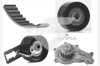 DEVİRDAİMLİ EKSANTRİK GERGİ KİTİ 141 DİŞ P207-P208-P301-P308-P508-P2008-P3008-P5008 08> PARTNER-BE RLINGO-RIFTER-JUMPY-C5-C4-DS4-C3-DS3-DS5-C-ELYSEE 1.6 HDI DV6C DV6DTED- FOCUS III 1.6 TDCİ 11>COURİE