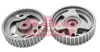 EKSANTRIK DISLISI MERCEDES OM607 W176 W246 C117 X117 W415 . RENAULT K9K 1.5 dCi CLIO KANGOO MEGANE C APTUR SYMBOL SCENIC . DACIA SANDERO LOGAN LODGY AYARLI