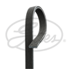 KANALLI KAYIŞ VOLVO C70 S60 S70 S80 V70 V70XC XC70 XC90 68431D