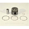 PİSTON SEGMAN STD 77.00 P207-P208-P3008-P308-P508-RZC-C4-DS3 07> 1.6 16V THP EP6D