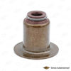 SUBAP LASTIGI 6MM FIAT DUCATO 06> / IVECO DAILY 06> / PEUGEOT BOXER 06> CITROEN JUMPER 06> MITSUBISHI FUSO CANTER 12/ EURO5 4P10 2.3 JTD 3.0 JTD F1A F1C E5 E6