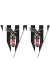 Beşiktaş Flama