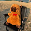 Büyük boy Capybara öpücük