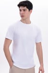 Erkek 10'lu Tişört Seti %100 Pamuk Basic Regular Fit Bisiklet Yaka Düz Renk Günlük T-Shirt