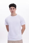 Erkek 5'li Tişört Seti %100 Pamuk Basic Regular Fit Bisiklet Yaka Düz Renk Günlük T-Shirt