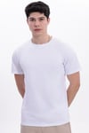 Erkek Beyaz Basic Tişört – Regular Fit Bisiklet Yaka %100 Pamuk 30/1 Süprem Kumaş Günlük T-Shirt