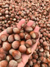 Kabuklu Naturel Fındık (Çiğ ve Taze) 1000 Gr