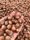 Kabuklu Naturel Fındık (Çiğ ve Taze) 1000 Gr
