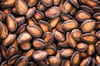 Karpuz Çekirdeği 500 gr